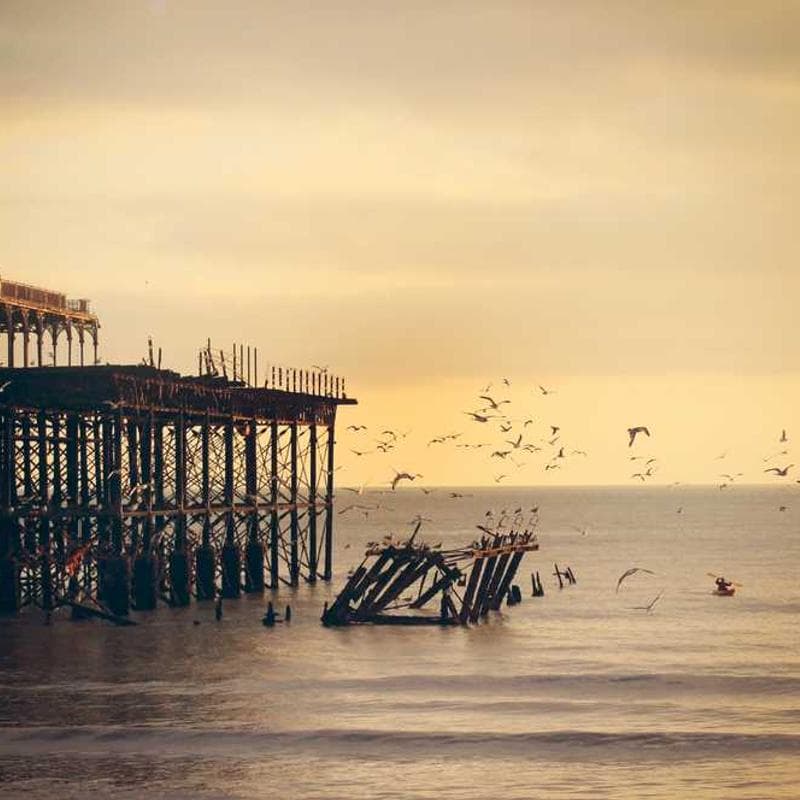 Sony Wireless Bluetooth Headphones