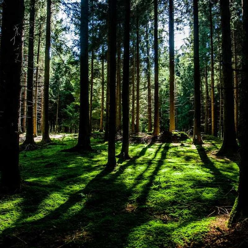 Xiaomi Redmi Note 13 Pro